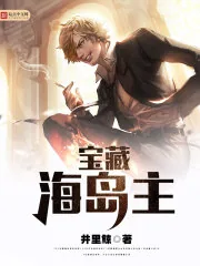 《宝藏海岛主》小说封面