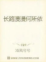 《长路漫漫何所依》小说封面
