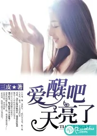 《爱醒吧,天亮了》小说封面