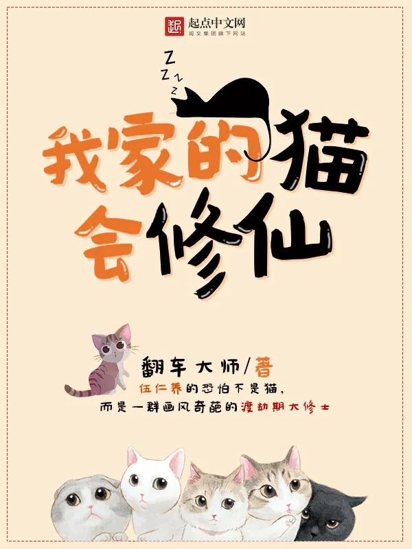 《我家的猫会修仙》小说封面