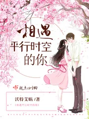 《相遇平行时空的你》小说封面