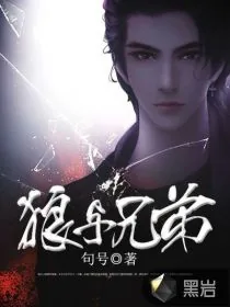 《狼与兄弟》小说封面