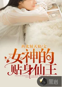 《女神的贴身仙王》小说封面