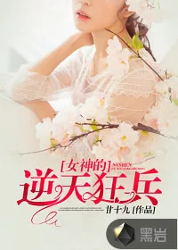 《女神的逆天狂兵》小说封面