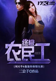 《终极农民工》小说封面
