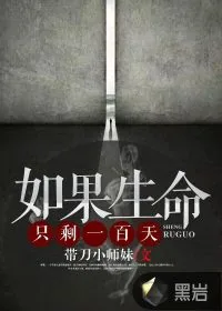 《如果生命只剩一百天》小说封面