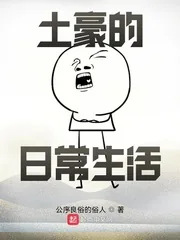 《土豪的日常生活》小说封面