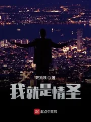 《我就是情圣》小说封面