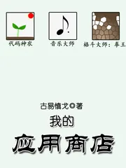 《我的应用商店》小说封面