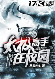 《太极高手在校园》小说封面