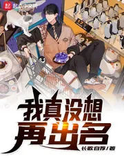 《我真没想再出名》小说封面