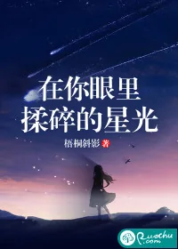 《在你眼里,揉碎的星光》小说封面