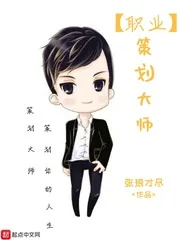 《职业策划大师》小说封面