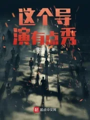 《这个导演有点秀》小说封面