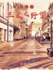 《四合院：三藏之野望》小说封面