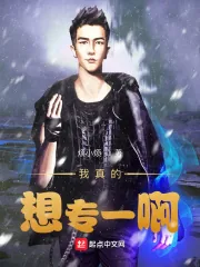 《我真的想专一啊》小说封面