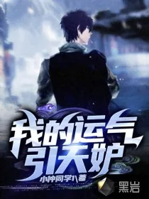 《我的运气引天妒》小说封面