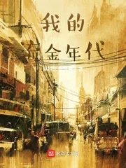《我的流金年代》小说封面