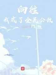 《向往:我成了全民公敌》小说封面