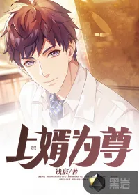 《上婿为尊》小说封面
