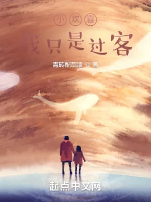 《小欢喜：我只是过客》小说封面