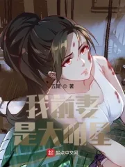 《我前妻是大明星》小说封面