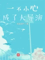 《一不小心成了大导演》小说封面