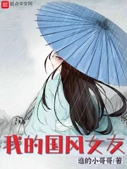 《我的国风女友》小说封面