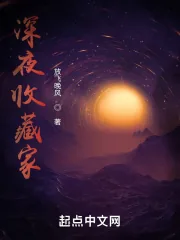 《深夜收藏家》小说封面