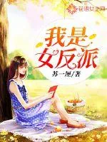 《我是女反派》小说封面