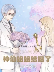 《所以我和神仙姐姐结婚了》小说封面