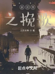 《新世界之挽歌》小说封面