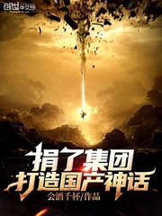 《捐了集团,打造国产神话!》小说封面