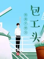 《我真不想当包工头》小说封面