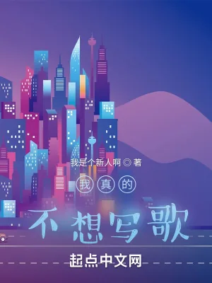 《我真的不想写歌》小说封面