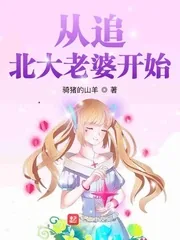 《从追北大老婆开始》小说封面
