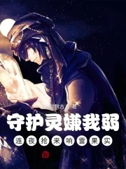 《守护灵嫌我弱,连夜抢来响雷果实》小说封面