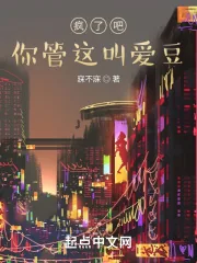 《疯了吧，你管这叫爱豆》小说封面