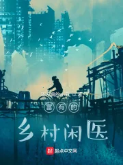 《富有的乡村闲医》小说封面