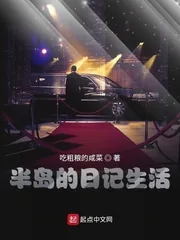 《半岛的日记生活》小说封面