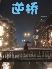 《逆桥》小说封面