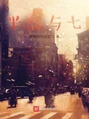 《半岛与七》小说封面