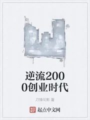 《逆流2000创业时代》小说封面