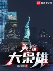《美综大枭雄》小说封面