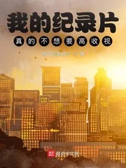 《我的纪录片真的不想要高收视！》小说封面