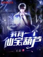 《我有一个仙宝葫芦》小说封面