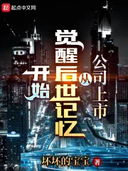 《公司上市从觉醒后世记忆开始》小说封面