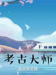 《满级考古大师》小说封面