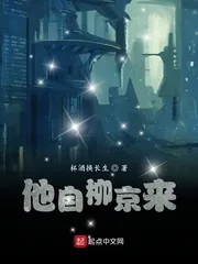 《他自柳京来》小说封面