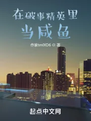 《在破事精英里当咸鱼》小说封面